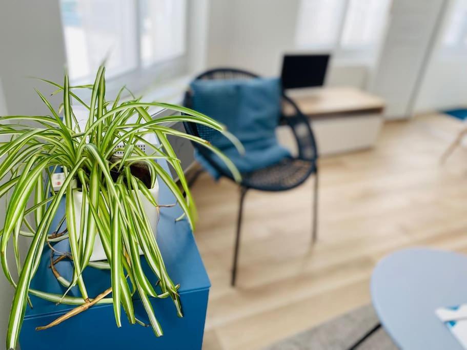 Les Beaux Arts, Appartement Au Coeur De Rouen Ngoại thất bức ảnh